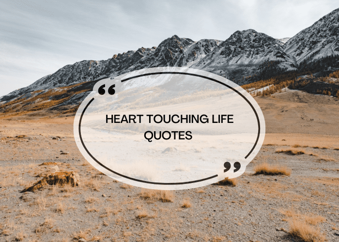 HEART TOUCHING LIFE QUOTES