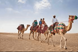 Desert Safari Dubai is A Taste of Traditional Emirati Life and Activities