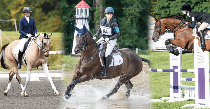 Unleashing the Thrills A Comprehensive Guide to Eventing Phases Gear and FAQs