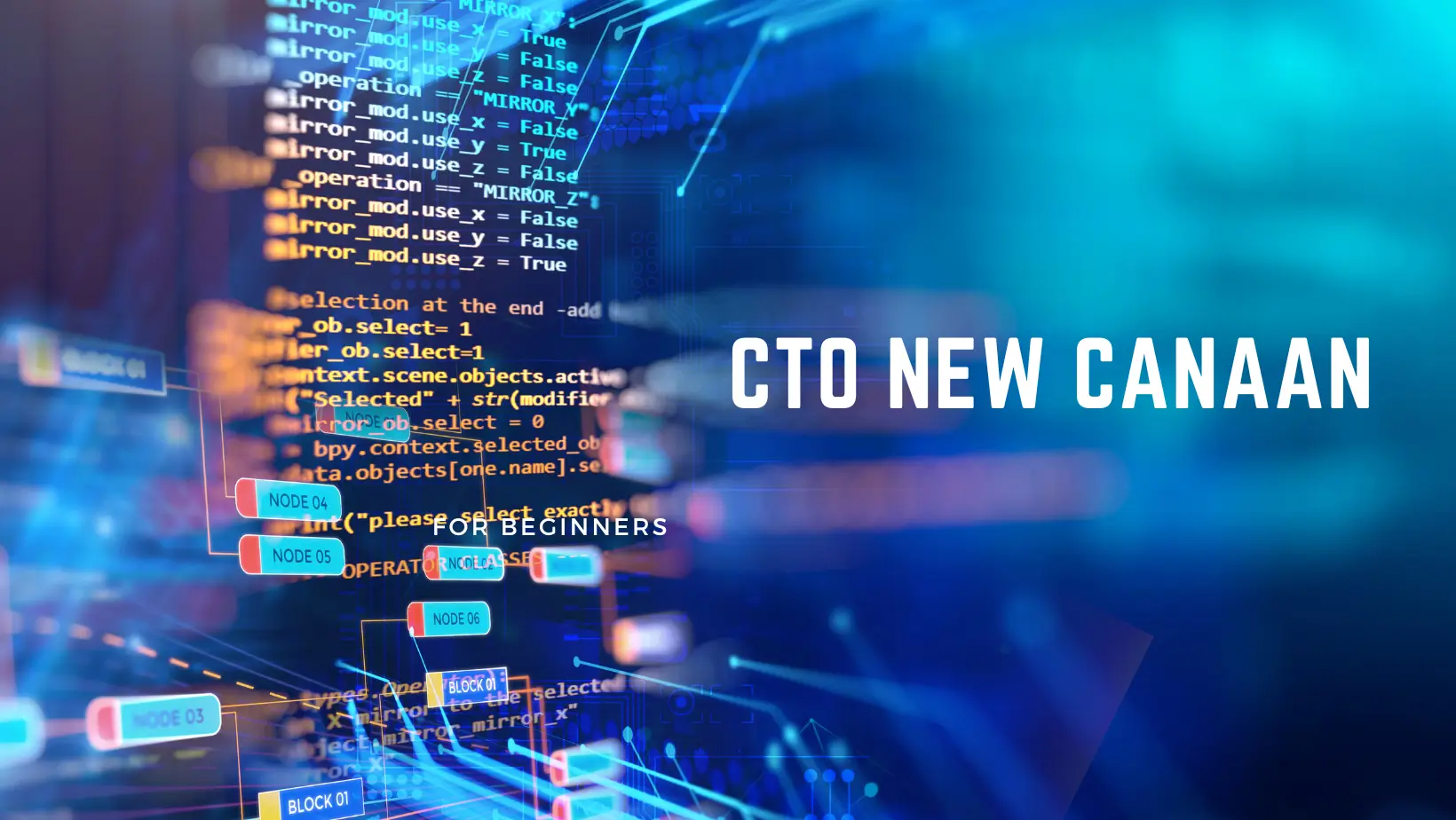 Guiding Innovation and Leadership as a CTO New Canaan