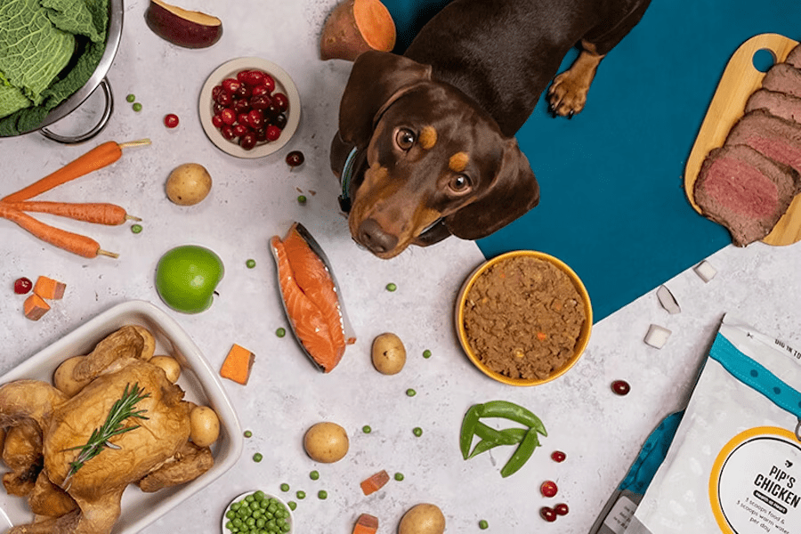 wellhealthorganic organic pet food benefits