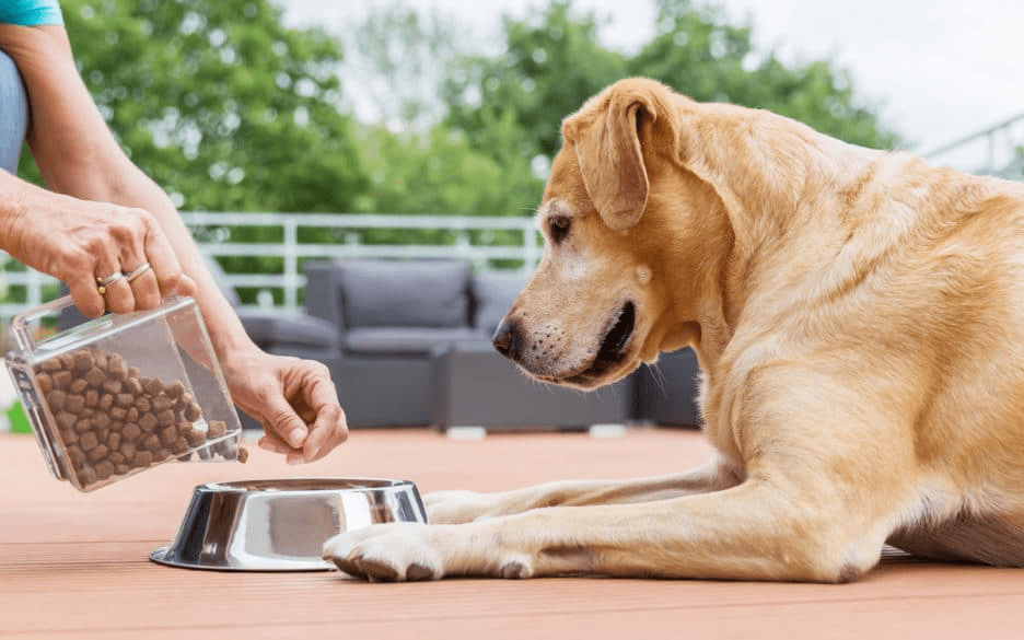 wellhealthorganic organic pet food benefits